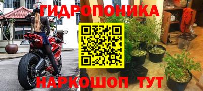 бошки Канаш